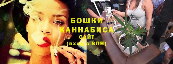 PSILOCYBIN Вязьма