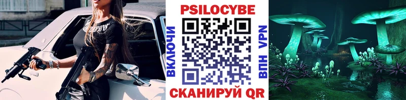 Псилоцибиновые грибы Magic Shrooms  где найти   Мариинский Посад 